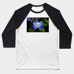 Close-up of a hydrangea with blue buds and flowers as well as green foliage Baseball T-Shirt